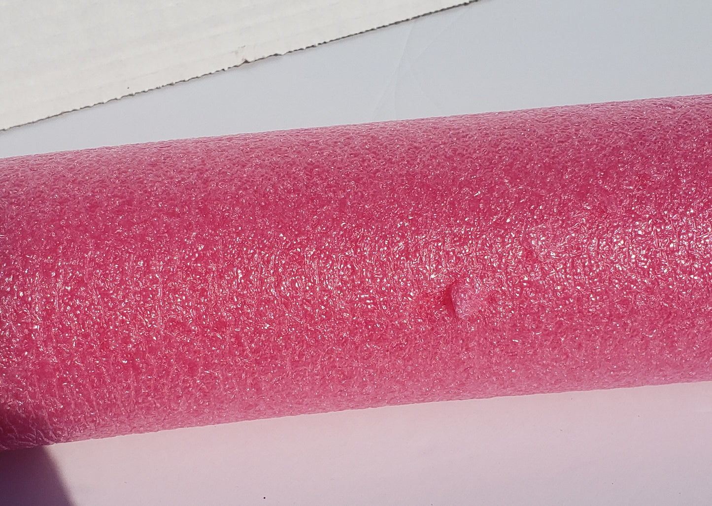 Sesame Street ERNIE Pool Noodle