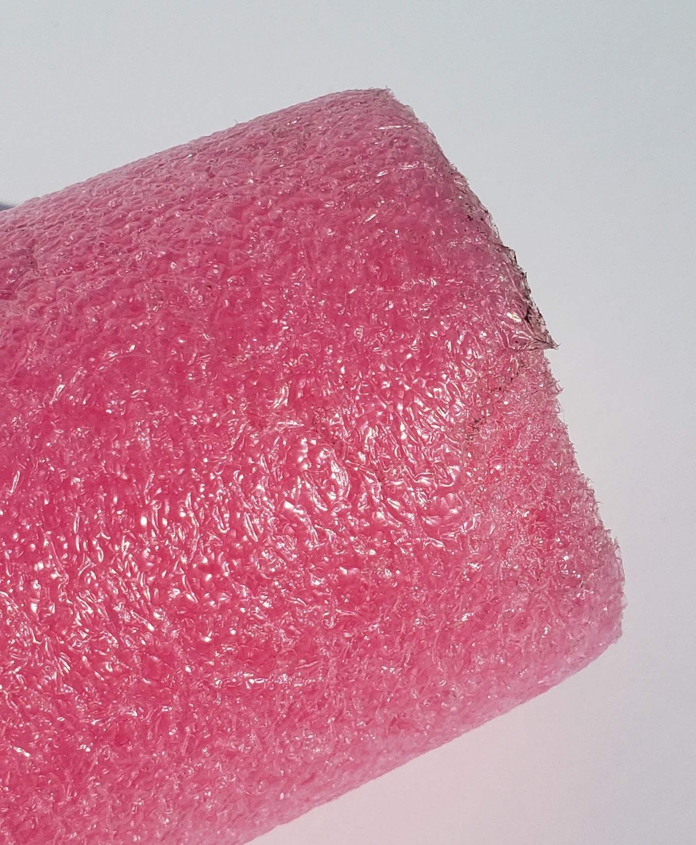 Sesame Street ERNIE Pool Noodle